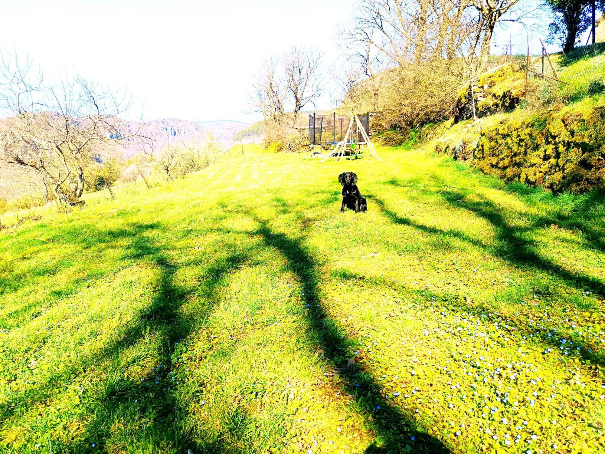 De La Bastide, 30750 Holiday home *
